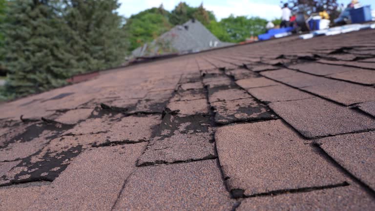 Best Emergency Roof Repair  in Caway, AR