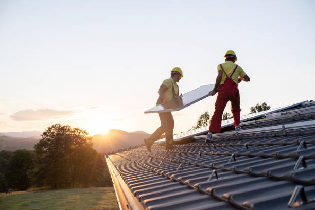 Best Roof Moss and Algae Removal  in Caway, AR
